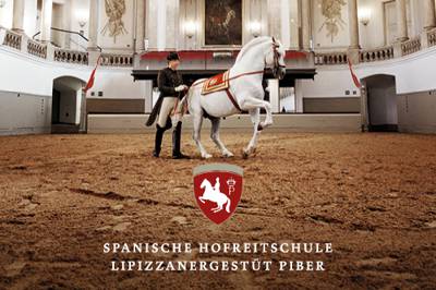 SRS_BEST OF VIENNA Audioguide Citymap_Online_202405_01_1.jpg