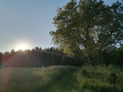 Wandern mit allen Sinnen (c) Kathrin Sowa-Mörtl.jpg