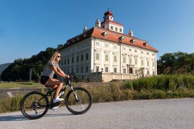 Schloss Pöckstein.jpg