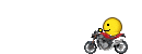 :endo: