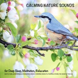 Calming Nature Sounds (without m...
