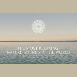 The Most Relaxing Nature Sounds ...