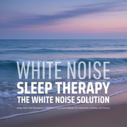 The White Noise Solution –...