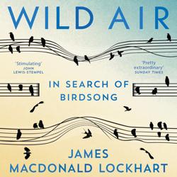 Wild Air