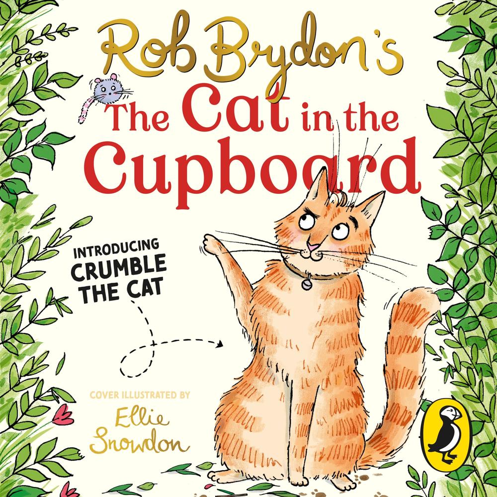 The Cat in the Cupboard by Rob Brydon, illustrated by Ellie Snowdon