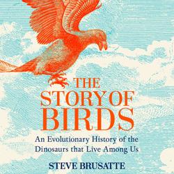 The Story of Birds