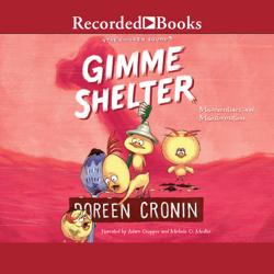 Gimme Shelter