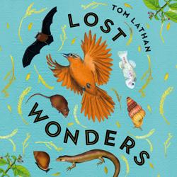 Lost Wonders