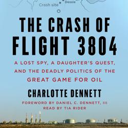 The Crash of Flight 3804
