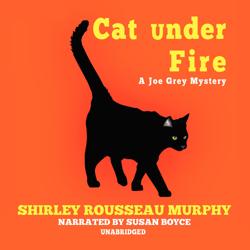 Cat under Fire