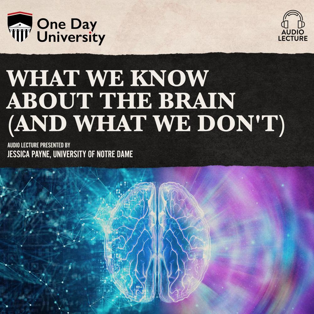 What We Know About the Brain (and What We Don’t)