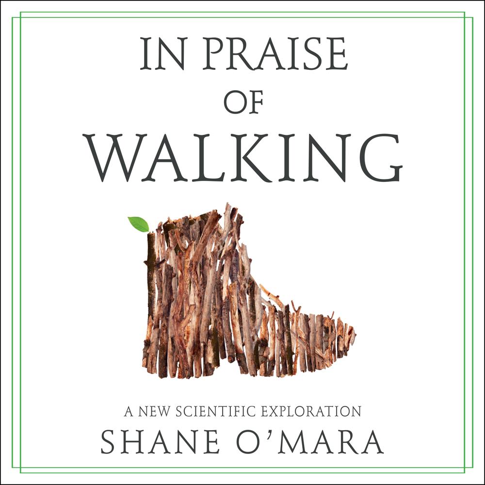 In Praise of Walking by Shane O'Mara