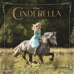Cinderella Junior Novel