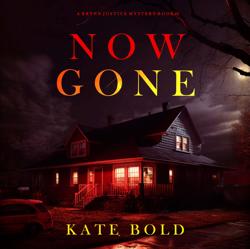 Now Gone (A Brynn Justice FBI Su...