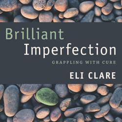 Brilliant Imperfection