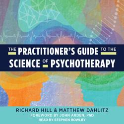 The Practitioner’s Guide t...