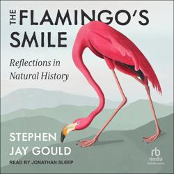 The Flamingo’s Smile