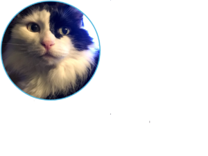 Our original data synchronization became such a hairball I’m pretty sure the YouTube cat cabal had something to do with it. So we decided to start from scratch.