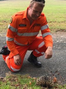 xMatters Principal Solution Consultant Elliot Pittam rescues an echidna from the road in Australia on January 7.