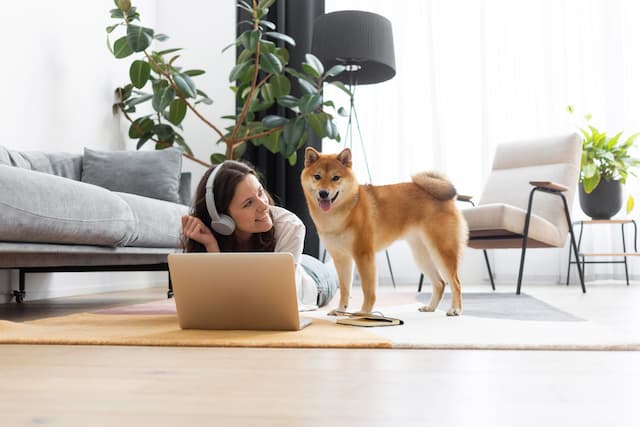consejos tener una mascota en casa