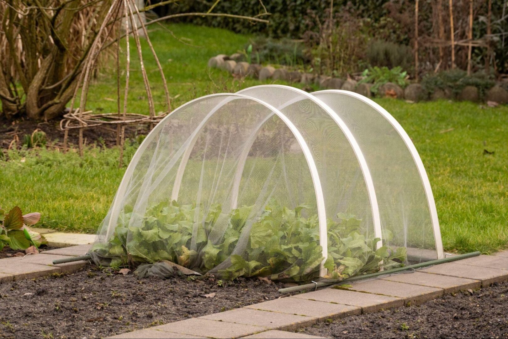 jardines sostenibles
