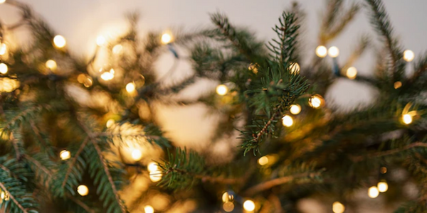 adornar-ventanas-en-navidad-con-guirnaldas
