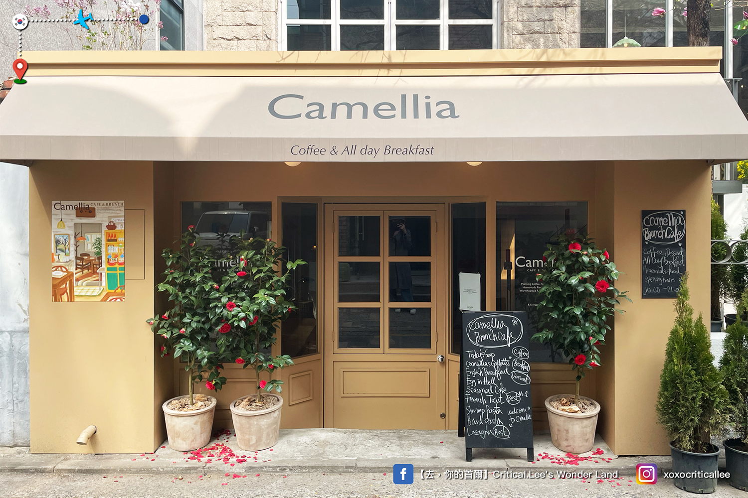 弘大入口站 ♥ Camellia 延南，逃離繁忙的日常生活～整天都能吃到早午餐的歐風咖啡館！