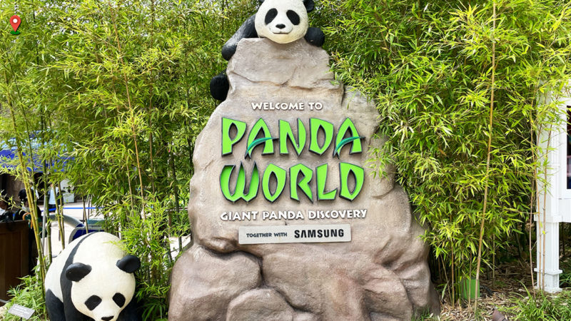 龍仁市 ♥ 愛寶樂園 PANDA WORLD，超人氣寶家族有喜事啦～愛寶生下雙胞胎、福寶現在是姊姊囉！