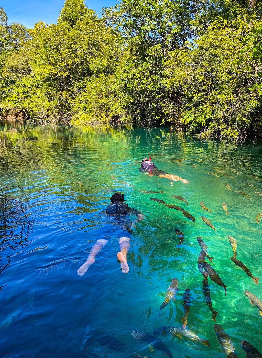 visitantes praticando a flutuação em rio de águas cristalinas