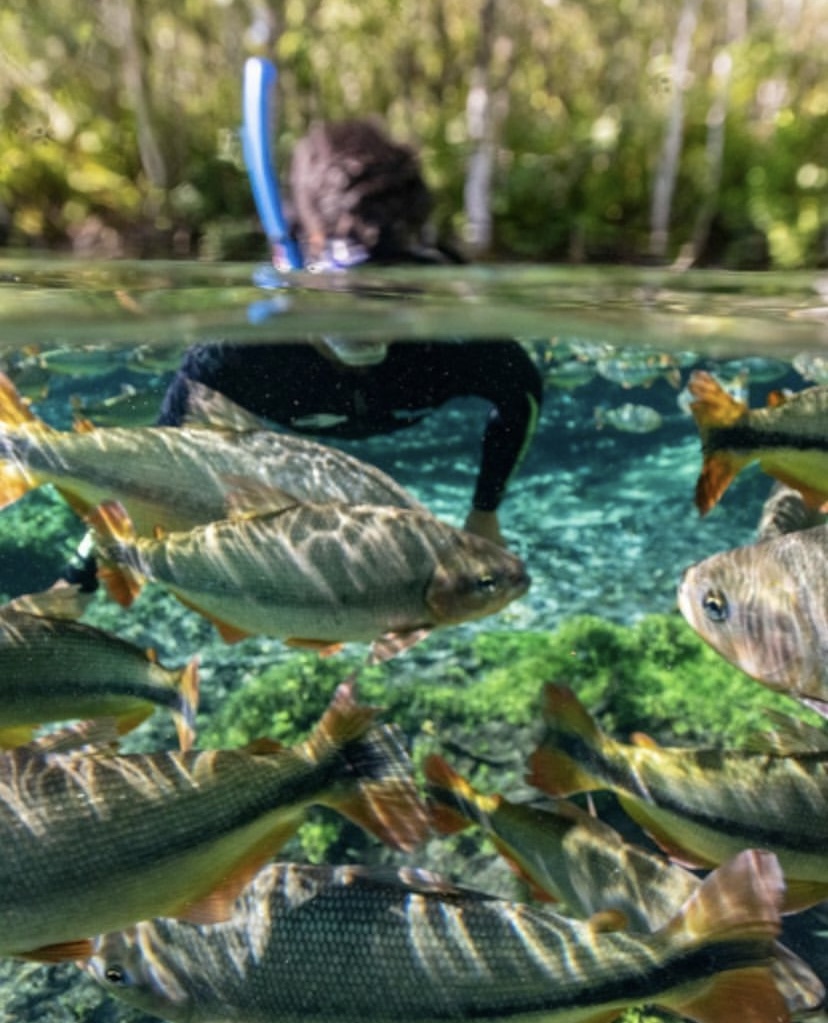 Rio da Prata Flutuação