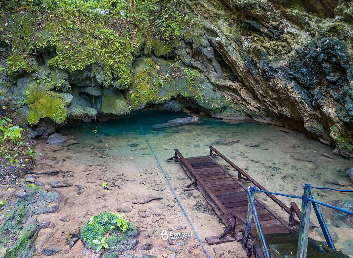 Ponte submersa em águas cristalinas em meio a natureza em Bonito