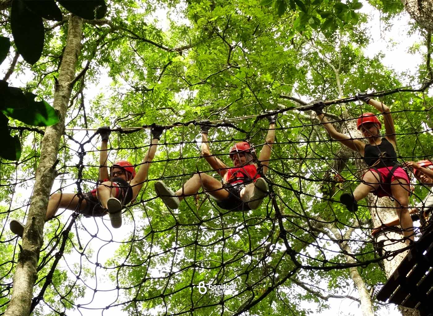 Pessoas com equipamento de segurança, no alto das árvores praticando arvorismo.