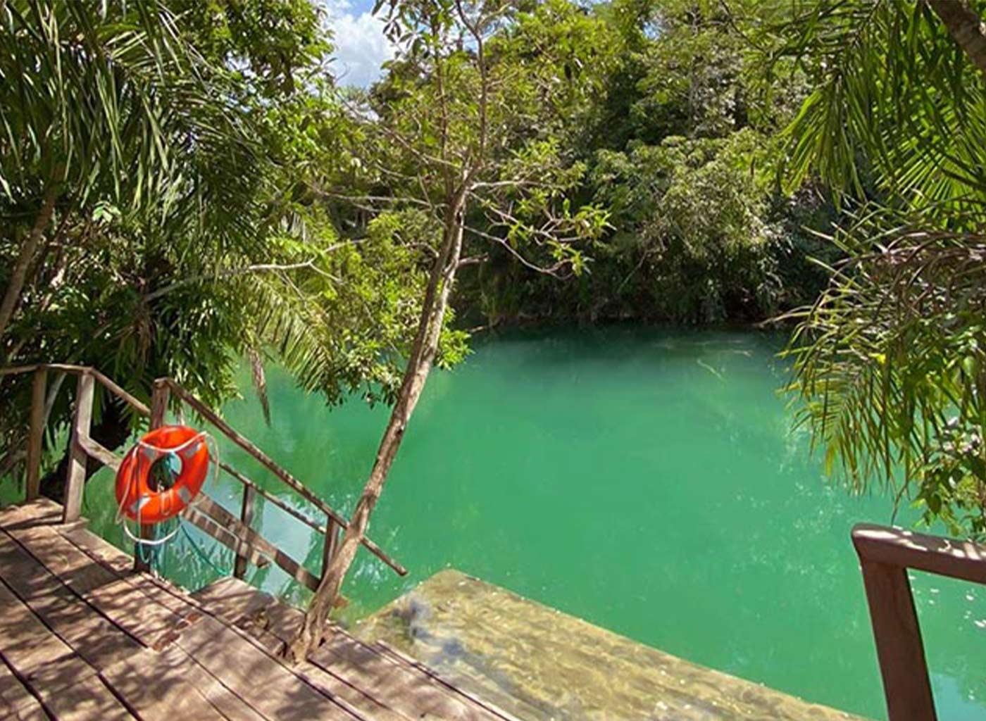 Vista de deck de madeira à margem de água cristalina em meio a natureza
