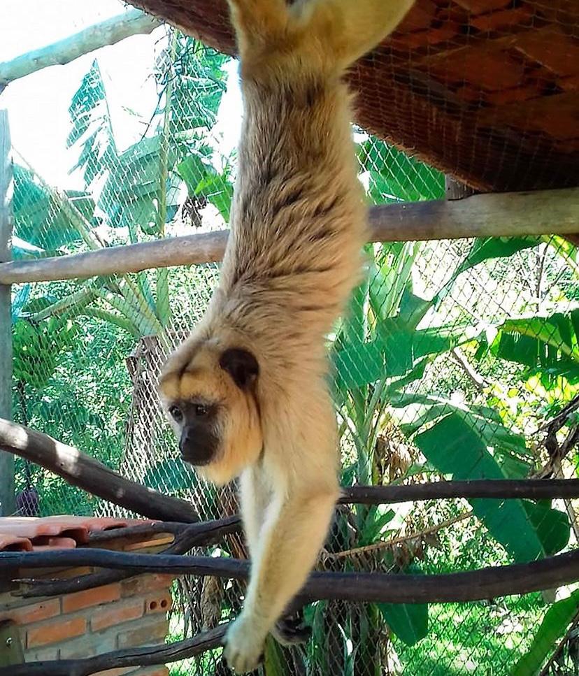 Bio Park, Urbanos em Bonito MS