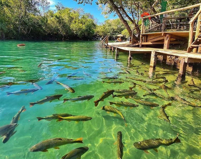 Barco Elétrico Eco Park Porto da Ilha