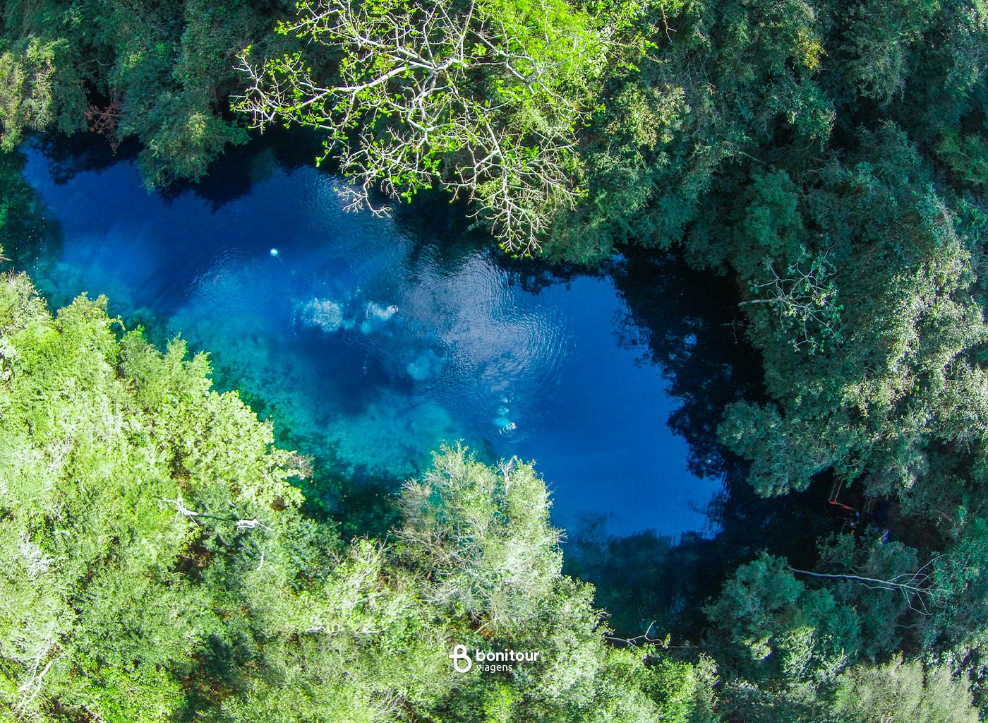 Vista de cima da Lagoa Misteriosa em meio a Vegetação