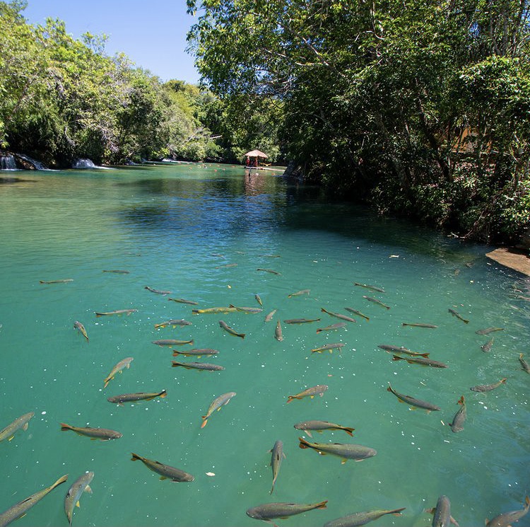 Balneário do Sol, Balneário em Bonito MS