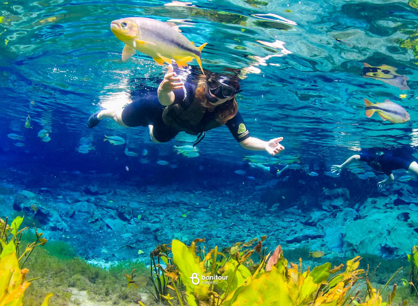 Imagem de dentro da água de pessoa praticando flutuação e vários peixes em volta no Aquário Natural de Bonito.