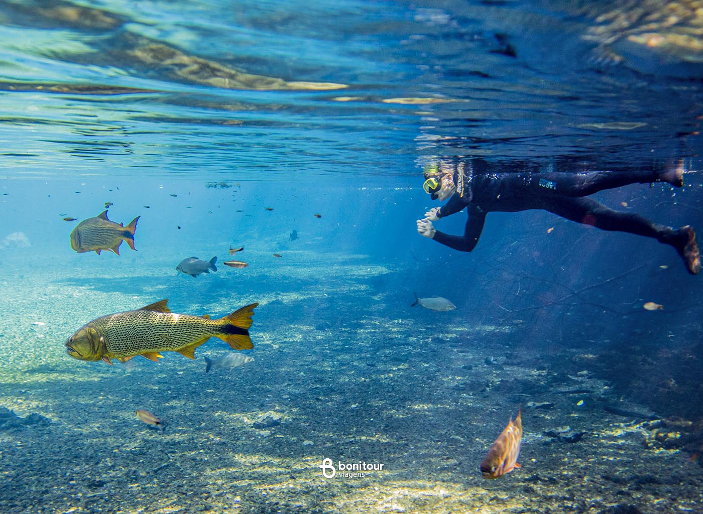Imagem de dentro da água de pessoa fazendo flutuação em meio a um cardume no Rio da Prata.
