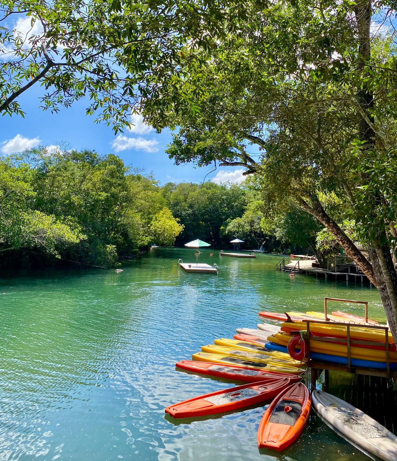 Bike Boat Eco Parque Porto da Ilha