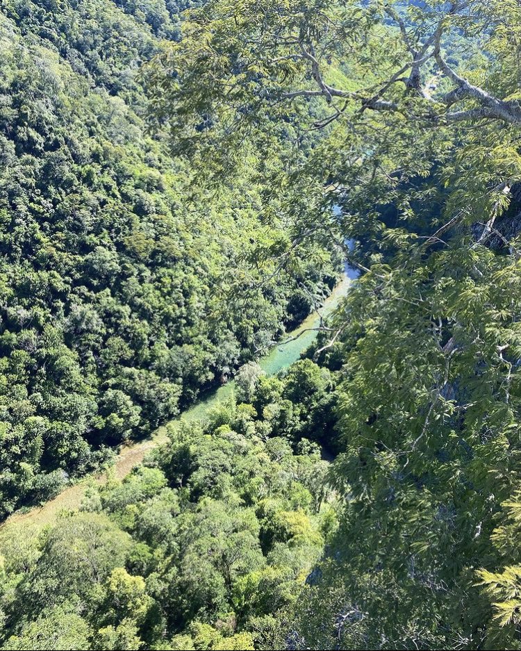 Boca da Onça Trilha Adventure + Rapel