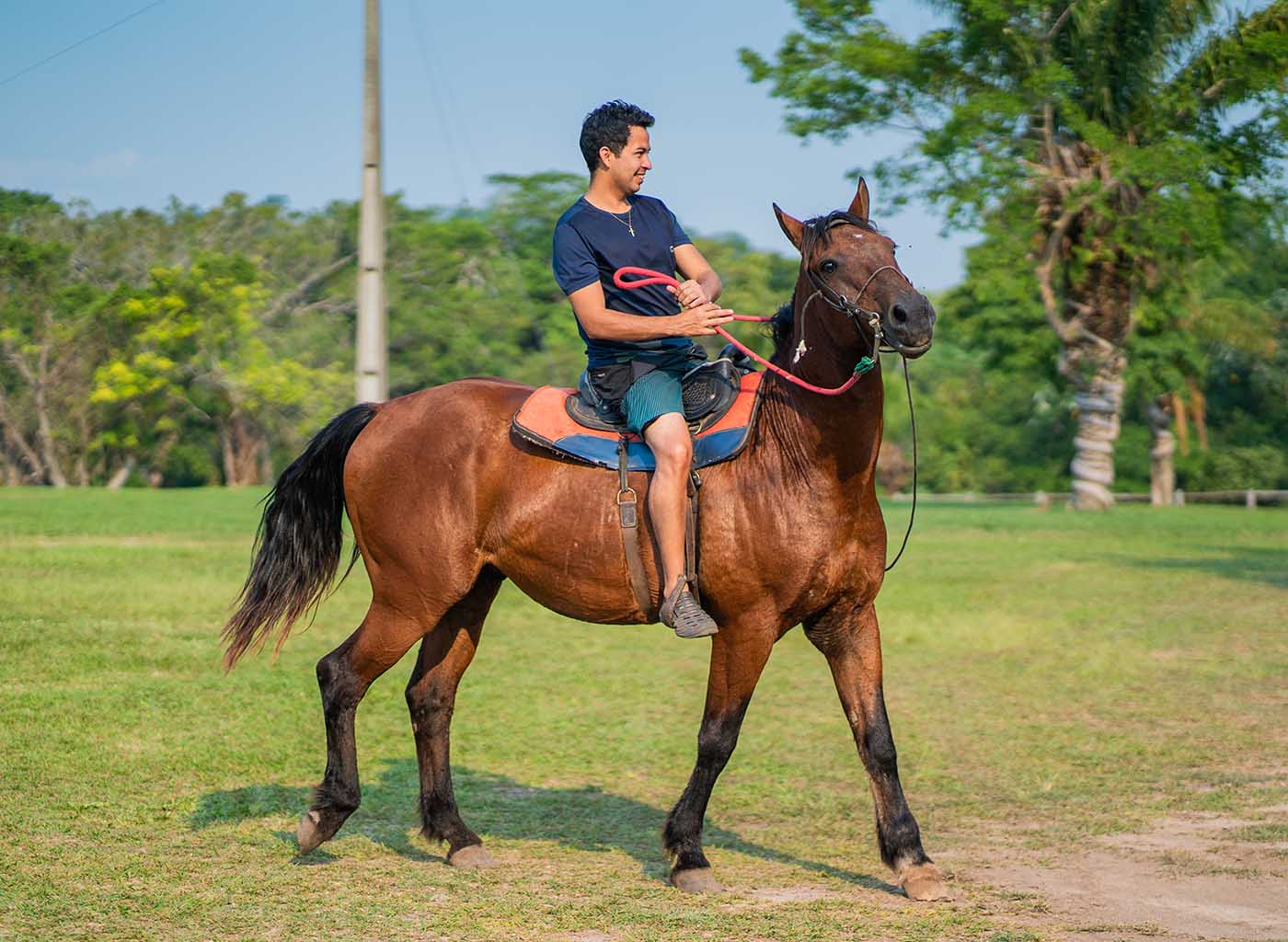homem em cima do cavalo