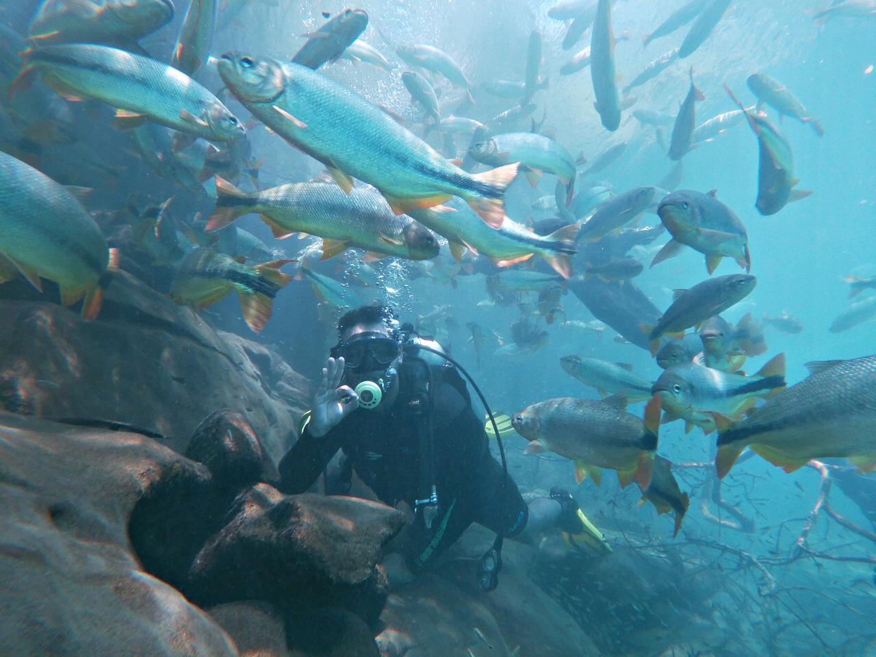 Rio da Prata Mergulho com Cilindro