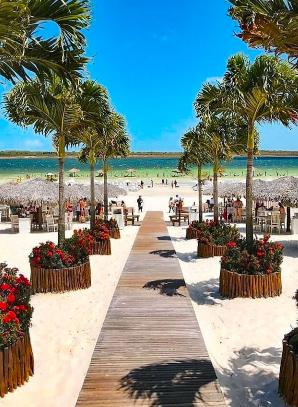 Alchymist na lagoa do paraíso jericoacoara litoral leste