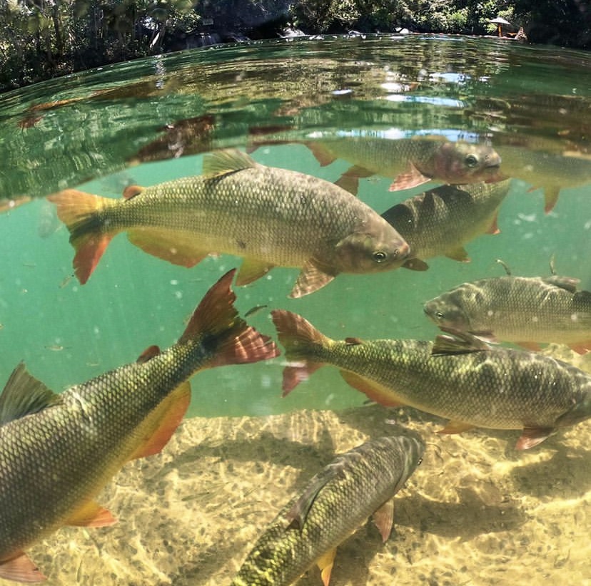 Balneário do Sol, Balneário em Bonito MS