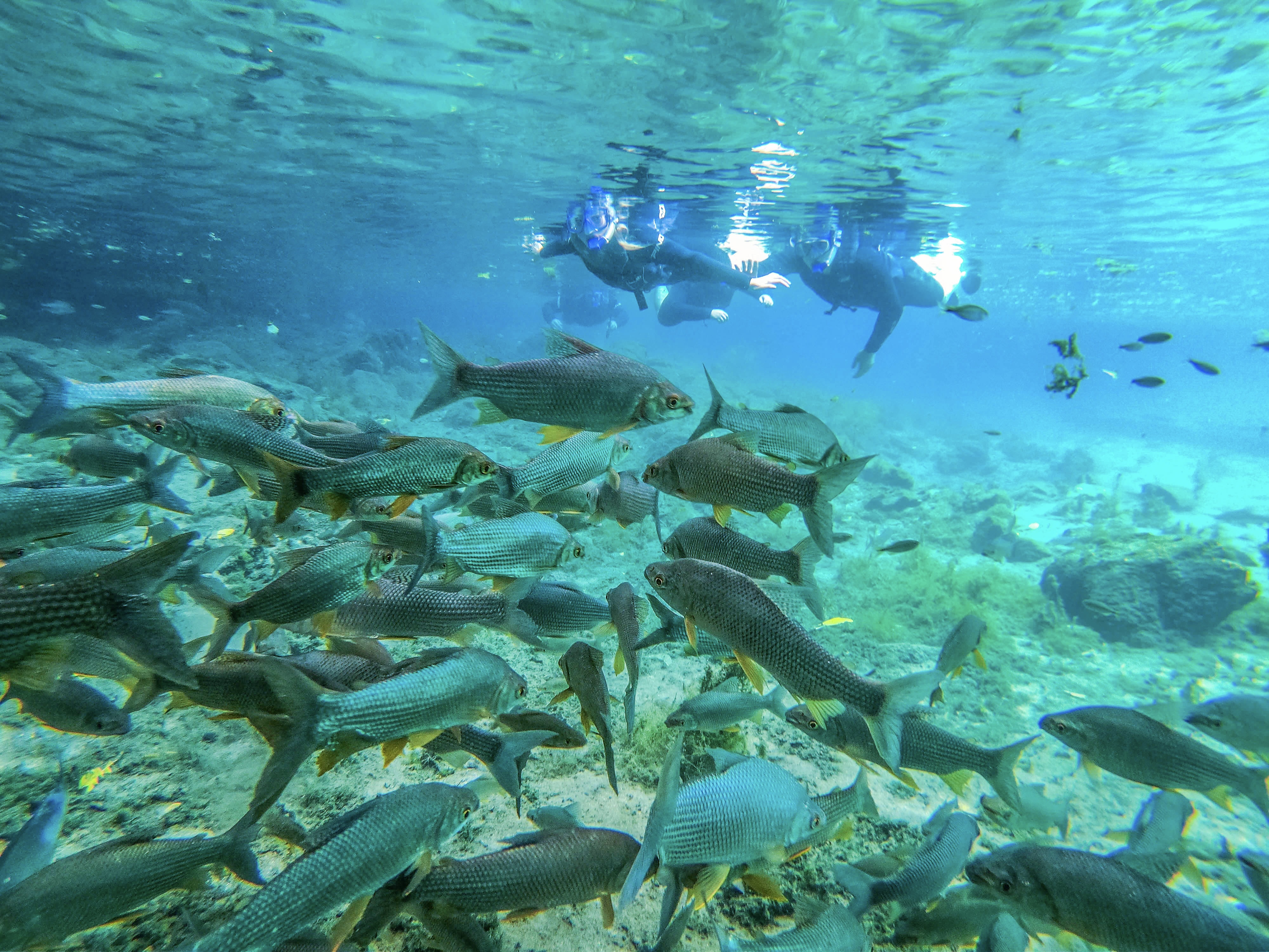 Flutuação Nascente Azul Bonito Ms