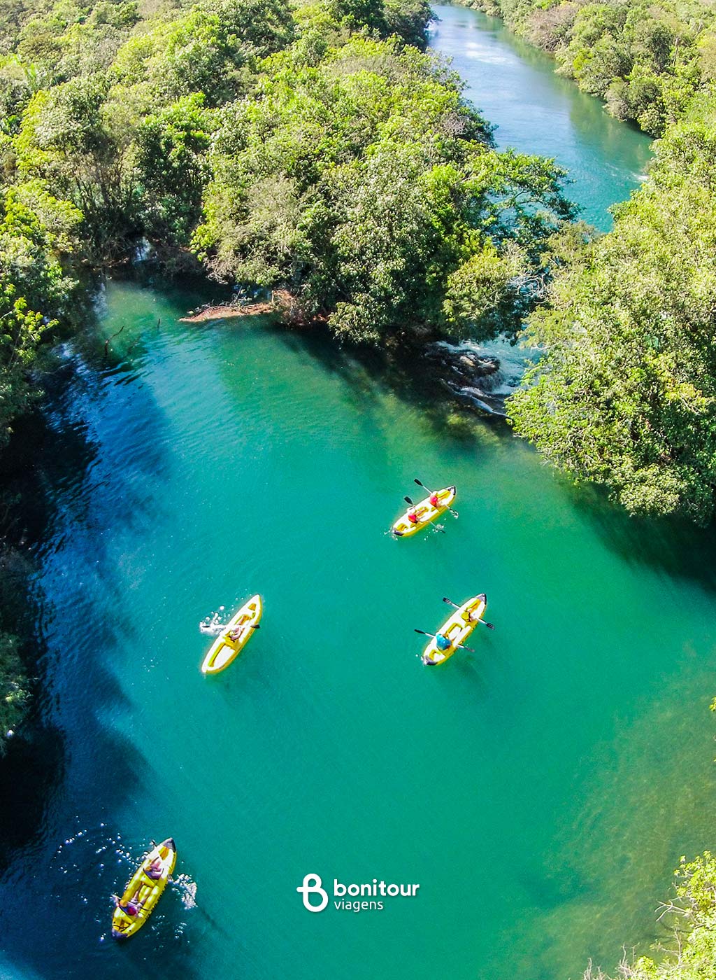 Pessoas em botes a remo em meio a vegetação