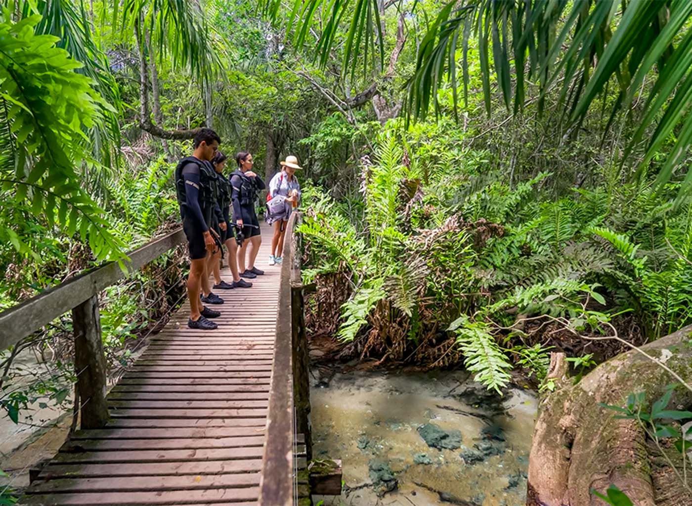 Pessoas em uma ponte em cima do Rio Sucuri com densa vegetação em volta.
