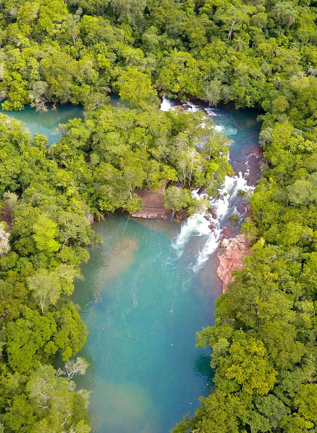 Vista de cima de águas cristalinas em meio a densa vegetação