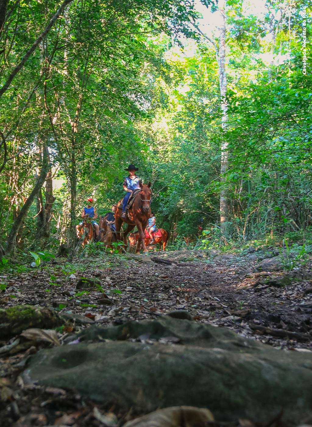 Pessoas cavalgando em meio a natureza de Bonito